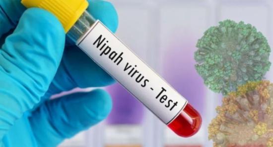 No Risk of Nipah Virus Spreading to Sri Lanka